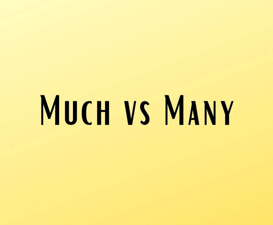 ¿Cuál es la diferencia entre Much y Many y cómo usarlos?